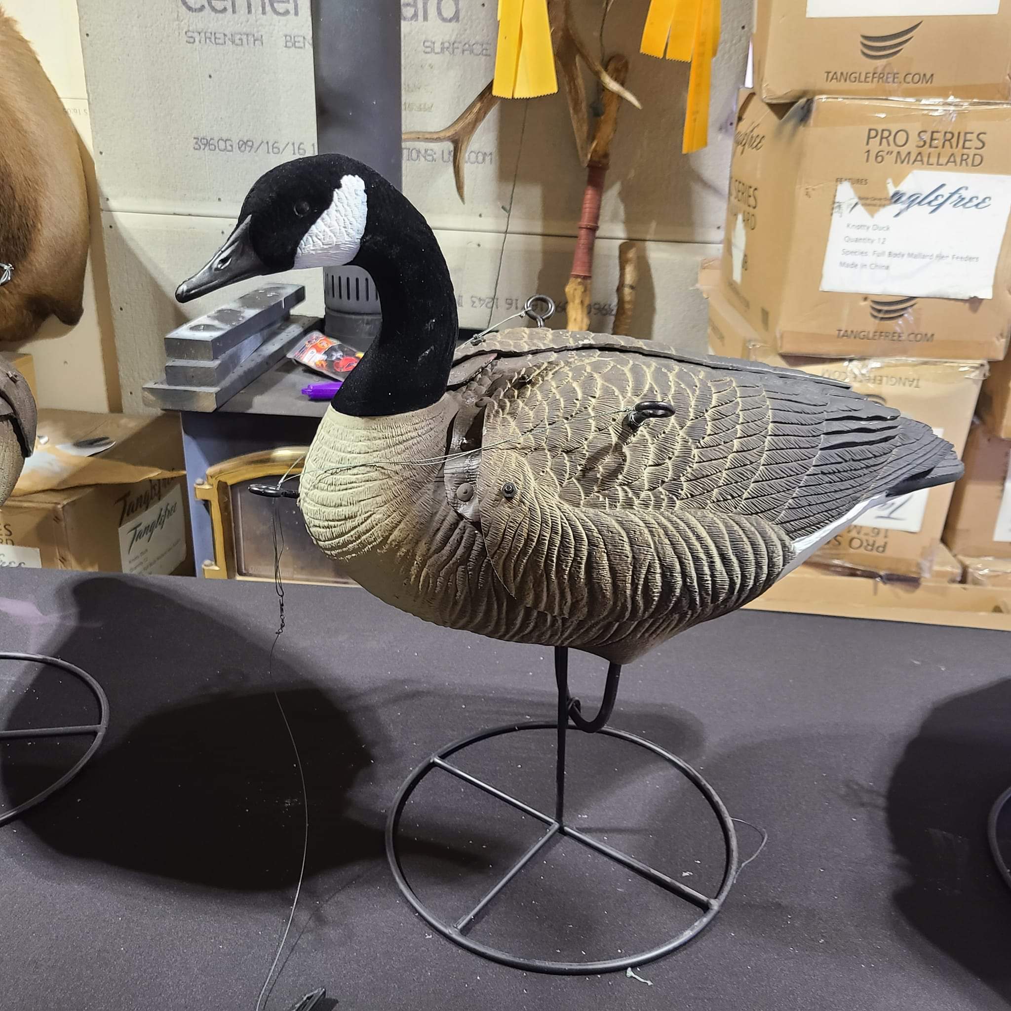 Canada Goose Flapper – Knottyduckdecoys